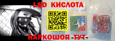 стаф Донской