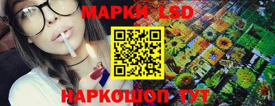 стаф Донской