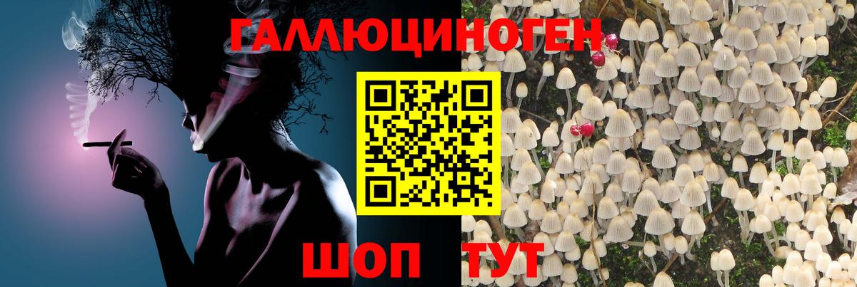 Галлюциногенные грибы Psilocybe  наркошоп  Майкоп  Вход с VPN 